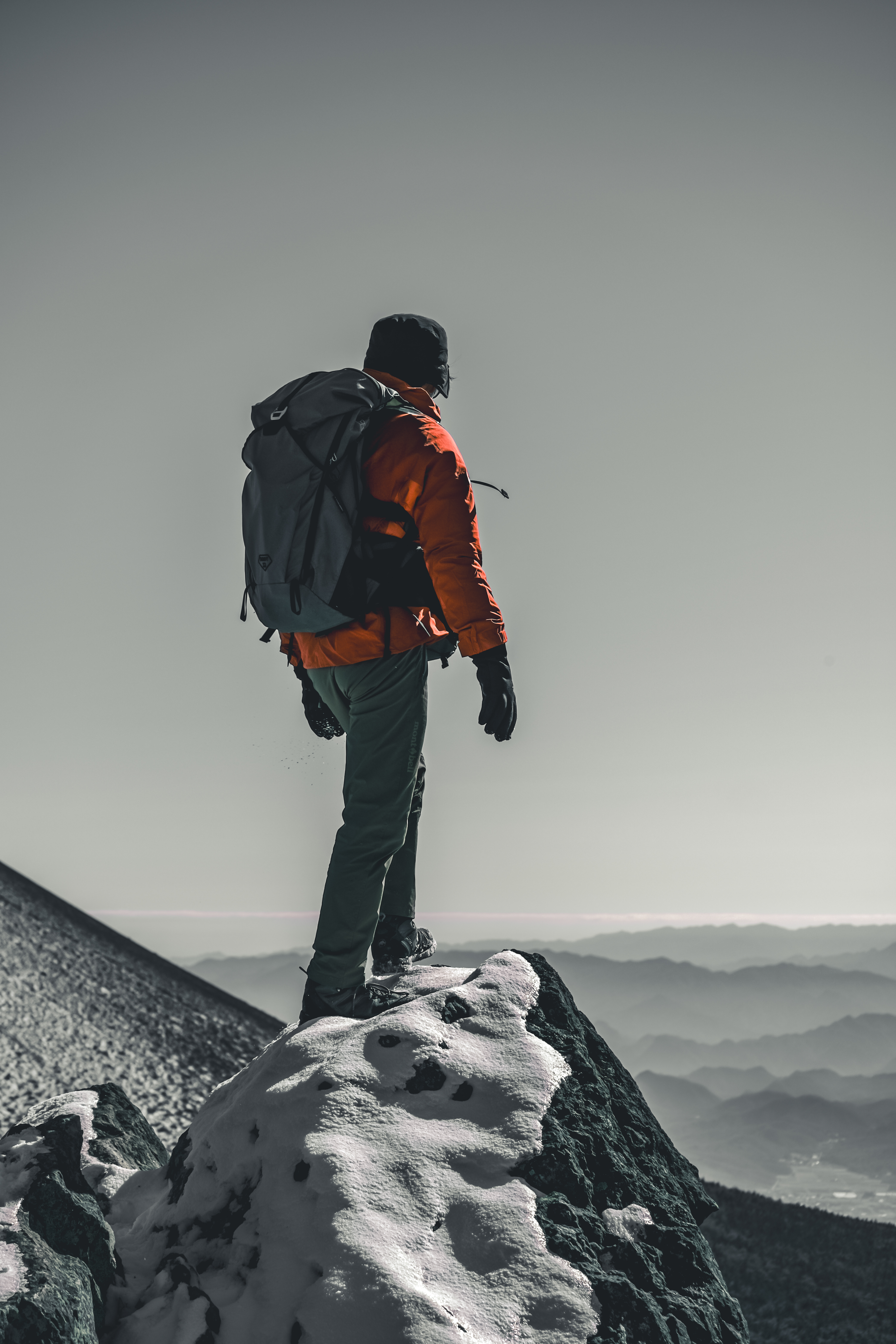 同行型ポートレート